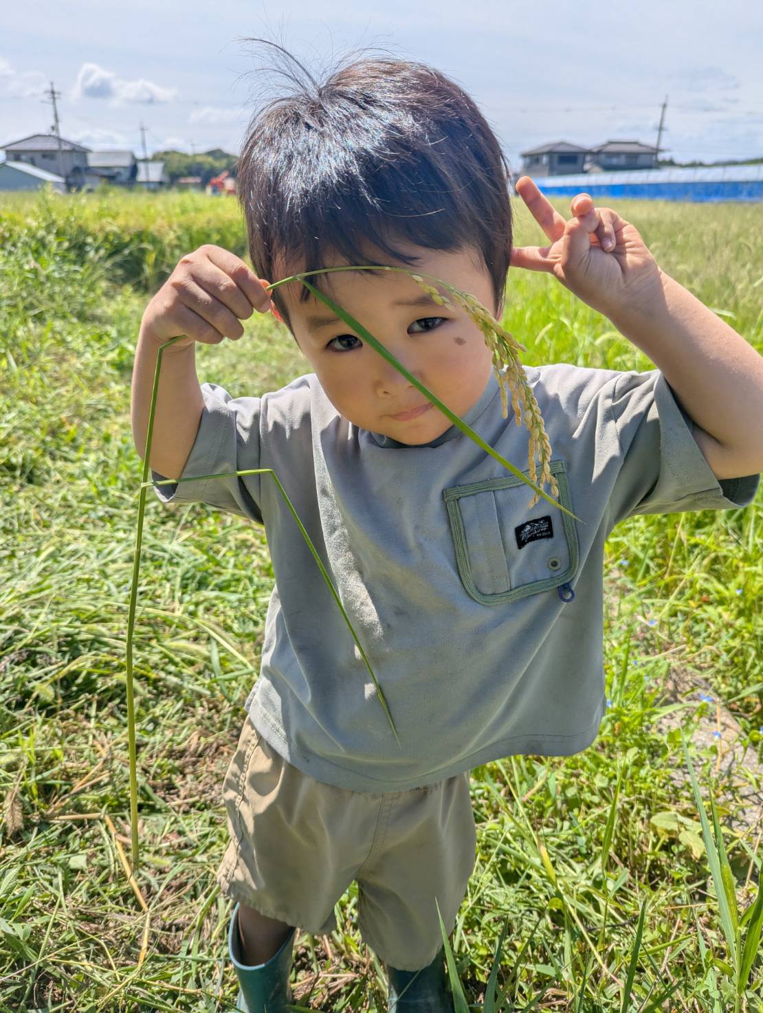 稲穂を持つ子ども